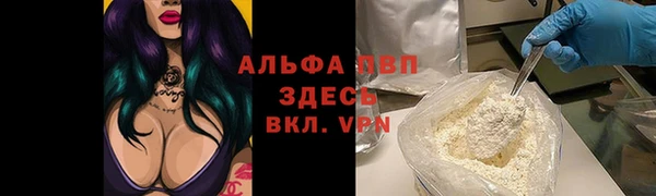 шишки Алзамай